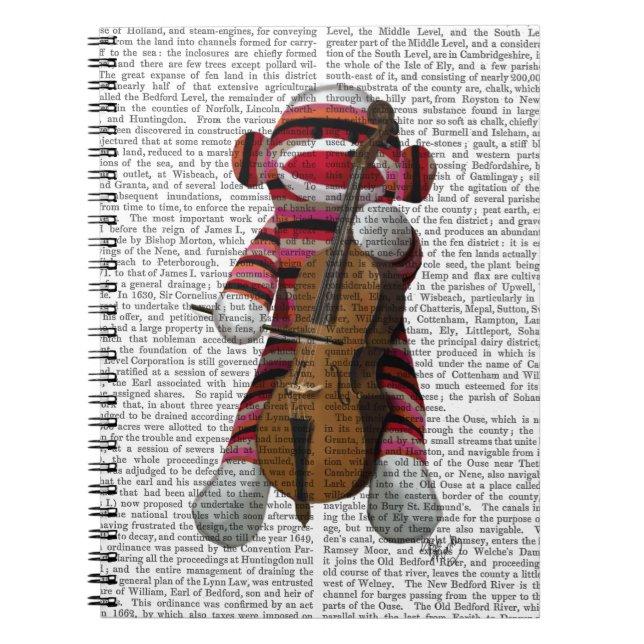 Carnet Singe et cello (Devant)