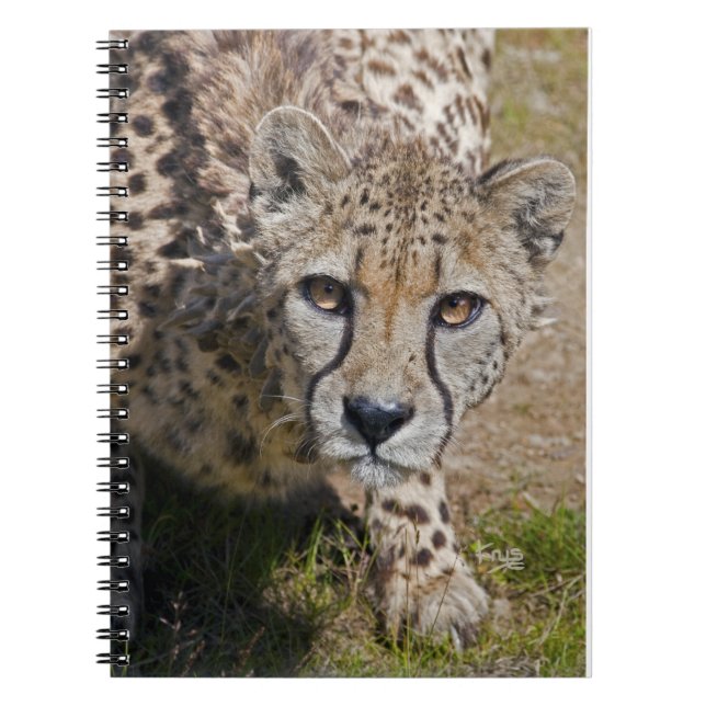 Carnet Sita (Devant)