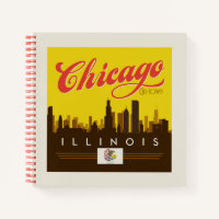 Skyline de l'Illinois