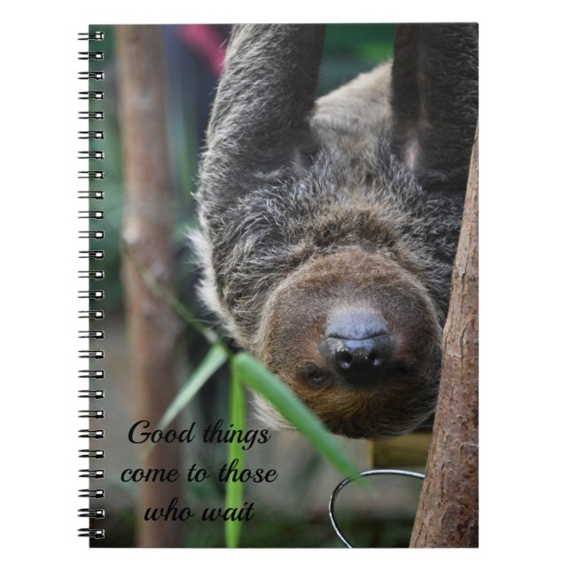 Carnet Sloth Hanging Out Edinburgh Zoo Card (Devant)