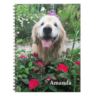 Carnet Smiling Golden Retriever Dog Among Red Flowers