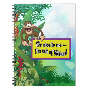 Carnet Sois gentil avec moi - Je suis hors de Valium !