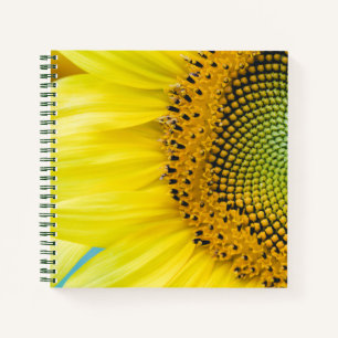 Carnet Soleil brillant