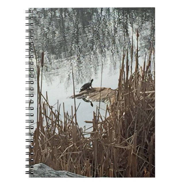 Carnet Solstice d'hiver (Devant)