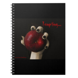 Carnet Sorcière de tentation de Grimm de frères