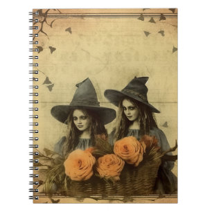 Carnet Sorcières gothiques sépia Panier de rose orange