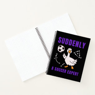 Carnet Soudain un expert de football