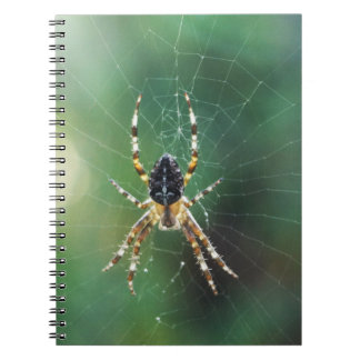 Carnet Spider Spider (80 Pages B&W)