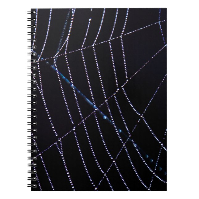 Carnet Spider Web (Devant)