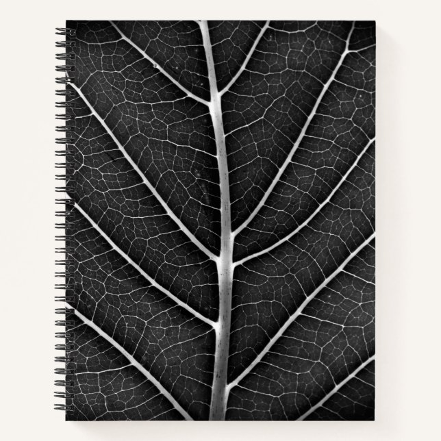 Carnet spiral (Devant)