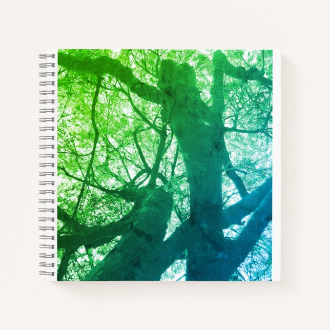 Carnet spiral (Devant)