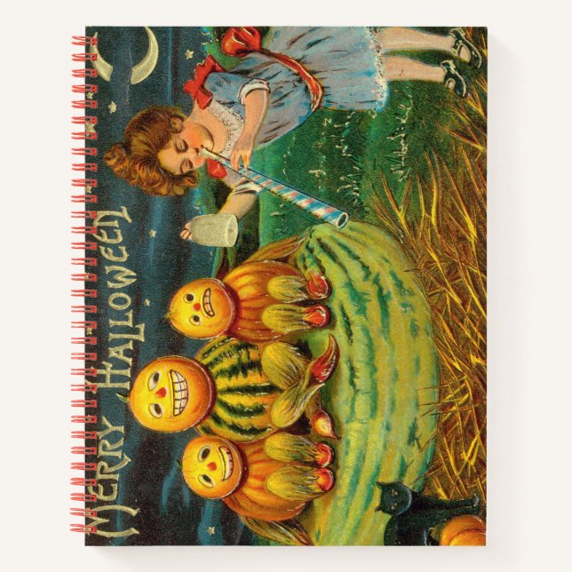 Carnet spiral (Devant)