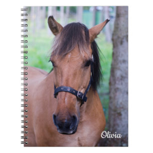 Carnet spiral à cheval