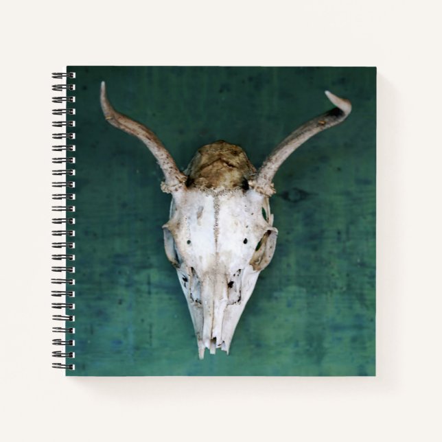 Carnet spiral Antelope Design crâne (Devant)
