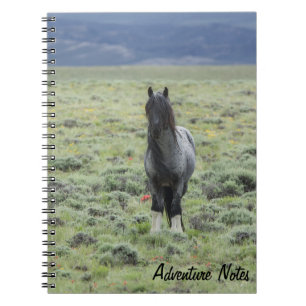 Carnet spiral avec Zeus bleu sauvage