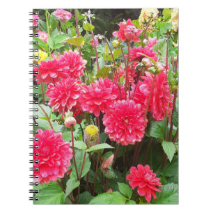 Carnet Spiral Dahlias Rose Profond