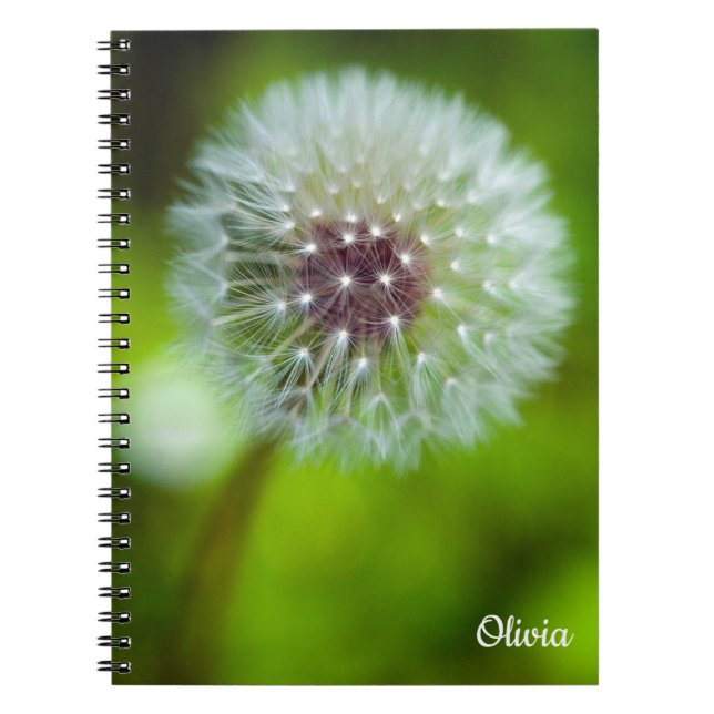 Carnet spiral Dandelion (Devant)