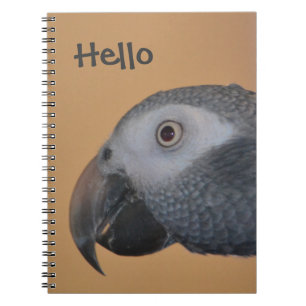 Carnet spiral de perroquet