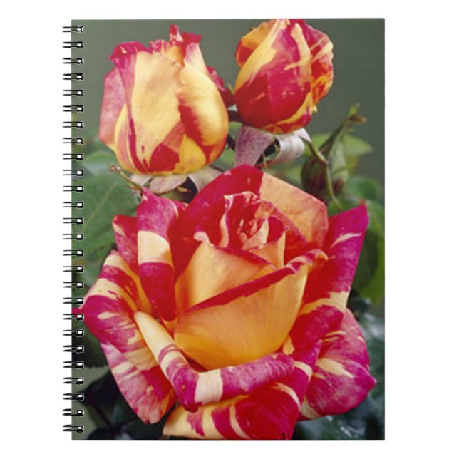 Carnet Spiral De Roses Jaunes Et Rose (Devant)