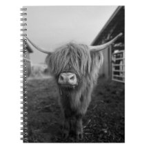 Carnet spiral de vache de Highland