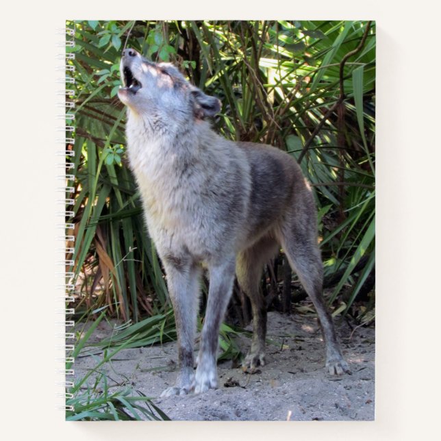 Carnet spiral loup hurlant (Devant)