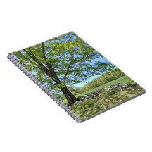 Carnet spiral Monson Tree Portrait