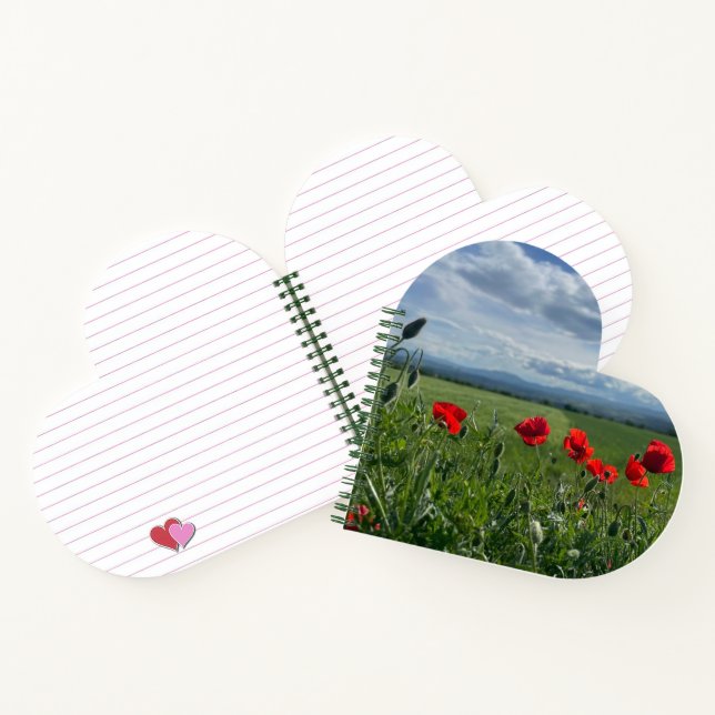 Carnet Spiral Notebook (Intérieur)