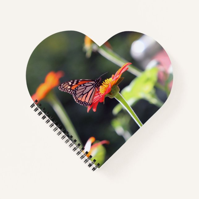 Carnet spiral papillon (Devant)