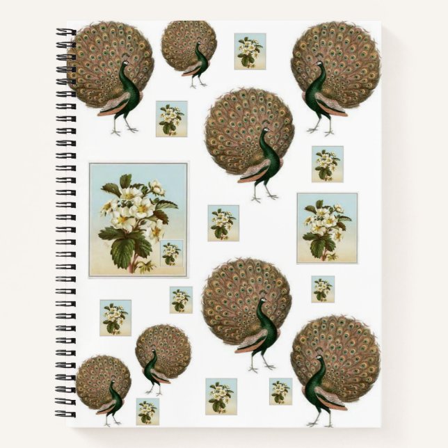 Carnet spiral Peacock (Devant)