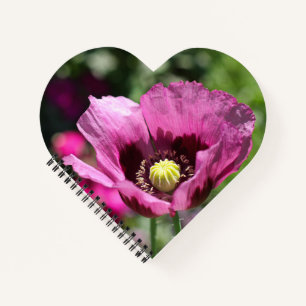 Carnet Spiral pourpre