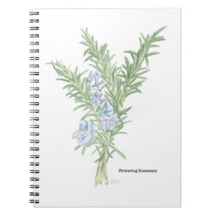 Carnet spiral romarin