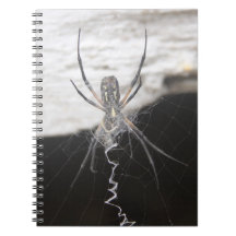 Carnet Spiral Spider