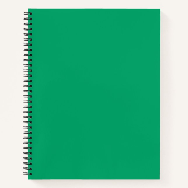 Carnet spiral vert couleur Crayon (Devant)