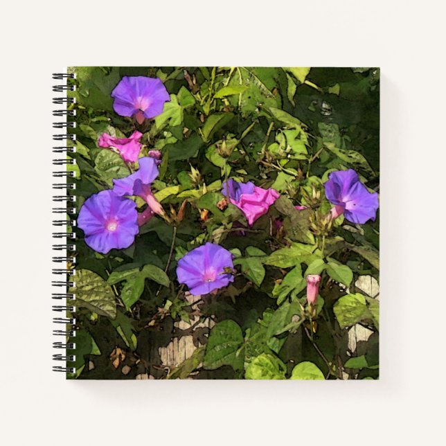 Carnet spirale Aquarelle Matin Glories Design (Devant)