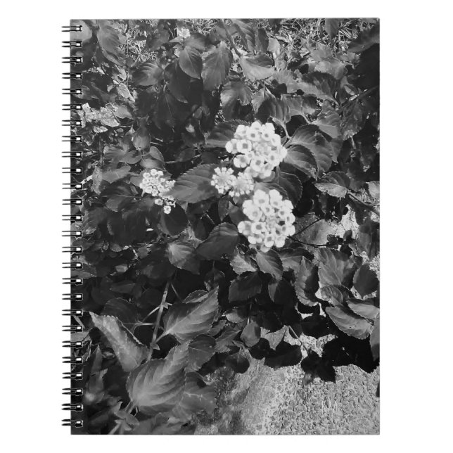 Carnet Spirale Old Flowers (Devant)