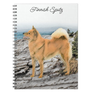 Carnet Spitz finlandais à Seashore Peinture - Chien Art