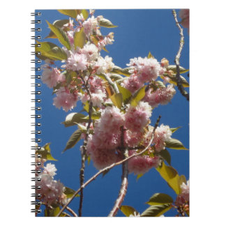 Carnet Spring Blossoms