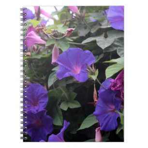 Carnet Spring Morning Glories en bleu