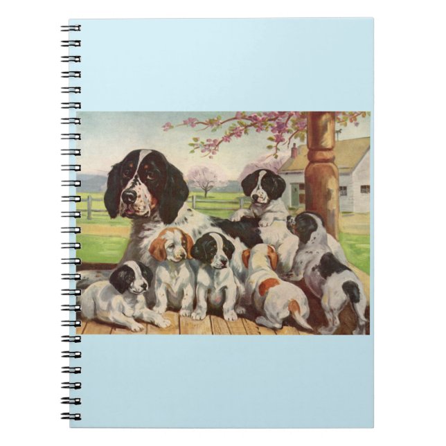 Carnet springer spaniel maman et chiots (Devant)