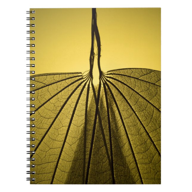 Carnet Squelette de feuille (Devant)