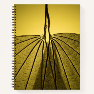Carnet Squelette feuille
