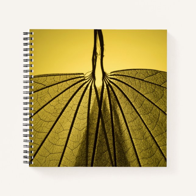 Carnet Squelette feuille (Devant)