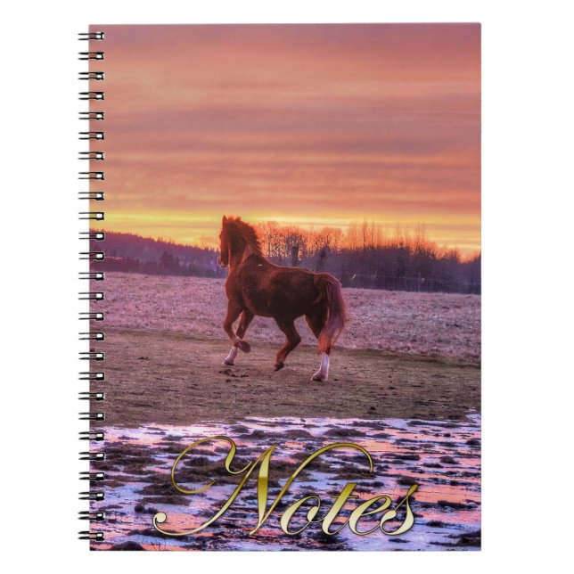 Carnet Stallion à la maison au coucher du soleil sur le R (Devant)
