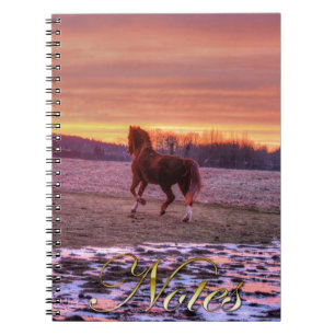 Carnet Stallion Running Home at Sunset on Ranch