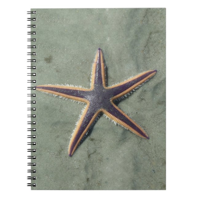 Carnet Starfish Purple étoile de mer sur la plage (Devant)