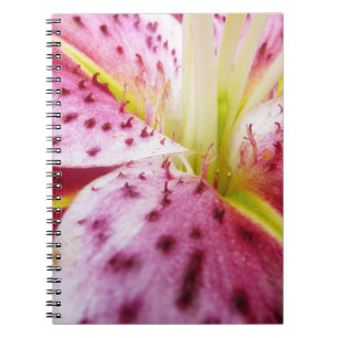 Carnet Stargazer Lily brillant Magenta Floral