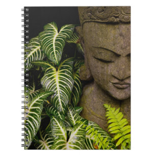 Carnet Statue dans des informations sur l'emplacement de