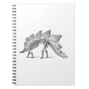 Carnet Stegosaurus Dinosaure Squelette Fossile