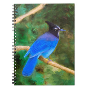 Carnet Steller's Jay Painting - Art original pour oiseaux