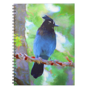 Carnet Steller's Jay Painting - Art original pour oiseaux
